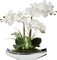 Artificial Flowers 15" White Phalaenopsis Orchid with Silver Pots Real Touch Faux Orchid Plant